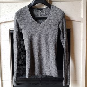 Express V-neck sweater